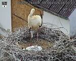 Capi_Dubne_20260608_180003.jpg
