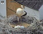 Capi_Dubne_20260608_180503.jpg