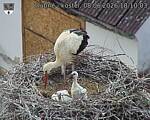Capi_Dubne_20260608_181003.jpg