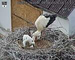 Capi_Dubne_20260608_181503.jpg