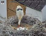 Capi_Dubne_20260608_183503.jpg