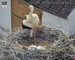 Capi_Dubne_20260608_184003.jpg