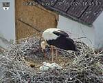 Capi_Dubne_20260608_184503.jpg