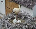 Capi_Dubne_20260609_102504.jpg