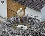 Capi_Dubne_20260609_103004.jpg