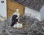 Capi_Dubne_20260609_104504.jpg