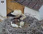 Capi_Dubne_20260609_113004.jpg