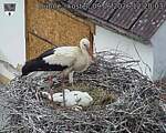 Capi_Dubne_20260609_122003.jpg