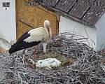 Capi_Dubne_20260609_123002.jpg
