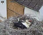 Capi_Dubne_20260609_131504.jpg