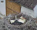 Capi_Dubne_20260609_132502.jpg