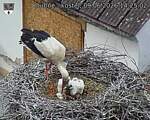 Capi_Dubne_20260609_142502.jpg