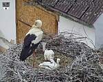 Capi_Dubne_20260609_143503.jpg
