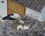 Capi_Dubne_20260609_145502.jpg