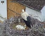 Capi_Dubne_20260609_165503.jpg