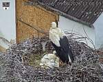 Capi_Dubne_20260609_170003.jpg
