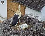 Capi_Dubne_20260609_180003.jpg