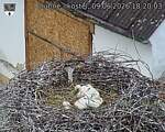 Capi_Dubne_20260609_182003.jpg