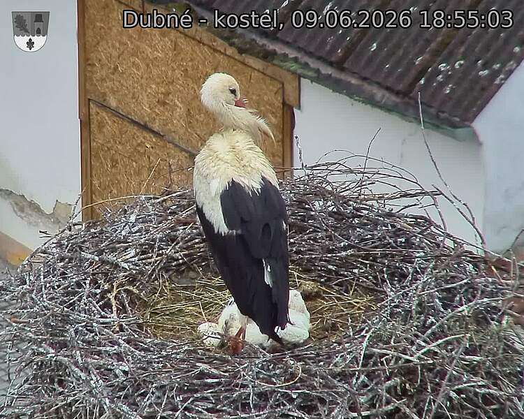 preload