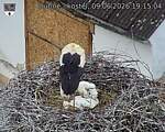 Capi_Dubne_20260609_191504.jpg