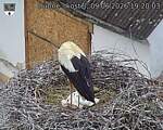 Capi_Dubne_20260609_192003.jpg