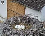 Capi_Dubne_20260609_195503.jpg