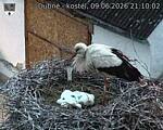 Capi_Dubne_20260609_211002.jpg
