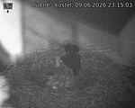 Capi_Dubne_20260609_231503.jpg