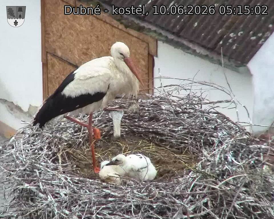 preload