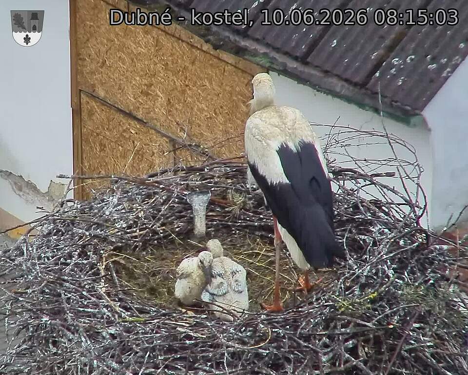 preload