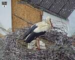 Capi_Dubne_20260610_102005.jpg