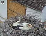 Capi_Dubne_20260610_133503.jpg