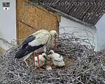 Capi_Dubne_20260610_135502.jpg