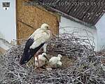 Capi_Dubne_20260610_140503.jpg