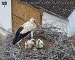 Capi_Dubne_20260610_142002.jpg
