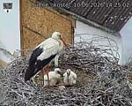 Capi_Dubne_20260610_142502.jpg