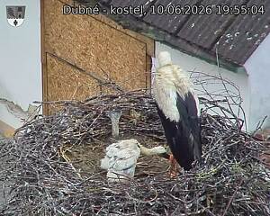 preload