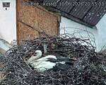 Capi_Dubne_20260610_205503.jpg