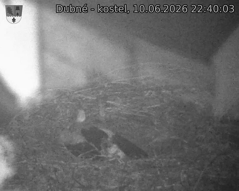 Capi_Dubne_20260610_224003.jpg (1350&nbsp;x&nbsp;1080)