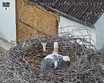 Capi_Dubne_20260611_131004.jpg