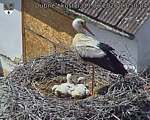 Capi_Dubne_20260611_135004.jpg