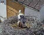 Capi_Dubne_20260611_141504.jpg