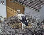 Capi_Dubne_20260611_142502.jpg