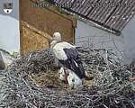Capi_Dubne_20260611_143004.jpg