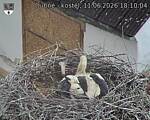 Capi_Dubne_20260611_181004.jpg