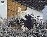 Capi_Dubne_20260611_184503.jpg
