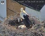 Capi_Dubne_20260611_192003.jpg