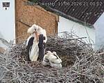 Capi_Dubne_20260611_210002.jpg