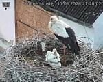 Capi_Dubne_20260611_212002.jpg