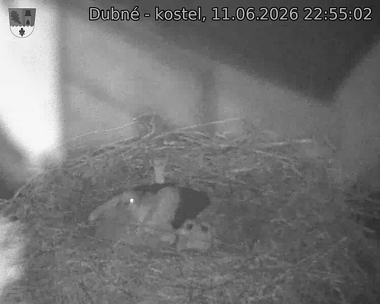 preload